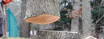 Best Commercial Tree Services  in Krebs, OK